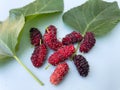Ripe red mulberry and leaves placed together. Royalty Free Stock Photo