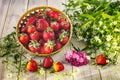 A harvest of ripe strawberries in a basket and a bouquet of wild flowers. Summer still life Royalty Free Stock Photo