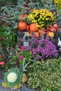 Harvest scene