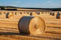 After the harvest Scenic beauty with hay bales in golden fields