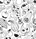 Harvest seamless pattern with black linear pumpkin, mushroom, grape, apples and pears on white background. Vector illustration Royalty Free Stock Photo