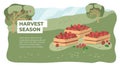 Harvest season, gardening or gathering apples concept