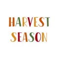 Harvest season hand drawn lettering phrase
