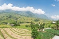 Harvest season in Northern Vietnam on terrace fields blue sky Royalty Free Stock Photo