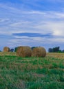 Harvest season stack of hay agricultural field scenic view vertical photography of August