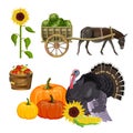 Harvest set with turkey, pumpkins, apples, sunflower and donkey Royalty Free Stock Photo