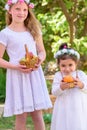 Jewish Holiday Shavuot.Harvest.Two little girls in white dress holds a basket with fresh fruit in a summer garden. Royalty Free Stock Photo