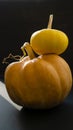 Two ripe small pumpkins Royalty Free Stock Photo