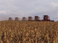 Harvest soybean