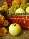 Harvest still-life Royalty Free Stock Photo