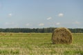 Harvest straw and hay on agricultural field in summer. Rural landscape with hay and straw.