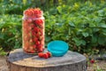 Harvest Strawberries in glass jar on old stump