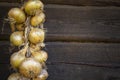 Harvest. String of golden onion. Bunches of onions are dried on dark wooden wall in the village.