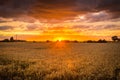 Harvest Sunset Royalty Free Stock Photo