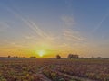 Harvest Sunset: A Tranquil Rural Tapestry
