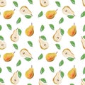 Harvest sweet pears with leaves fruit gouache illustration freehand drawn seamless pattern on white background. Food pattern,