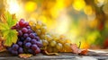 Harvest Symphony: A Captivating Autumn Still Life with Ripe Grape Varieties amidst Enchanting Autumn
