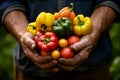 Harvest Symphony - man holding an abundant array of peppers and tomatoes in his hands - generative AI