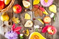 Harvest or Thanksgiving background with autumnal fruits, flowers, leaves, pumpkin, nuts and berries on the rustic wooden table. Au Royalty Free Stock Photo