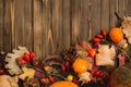 Harvest or Thanksgiving background with autumnal fruits and gourds on rustic wooden table Royalty Free Stock Photo