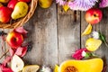 Harvest or Thanksgiving background with frame of autumnal fruits, flowers, gourd and leaves on a rustic wooden table. Autumn conce Royalty Free Stock Photo