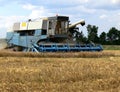 Harvest time 1 Royalty Free Stock Photo