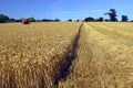 Harvest time Royalty Free Stock Photo