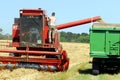 Harvest time Royalty Free Stock Photo