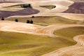 Harvest time Royalty Free Stock Photo