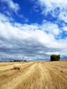 Harvest time