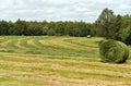 Harvest time Royalty Free Stock Photo