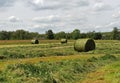 Harvest time Royalty Free Stock Photo