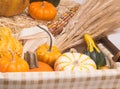 Harvest Time Royalty Free Stock Photo