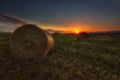 Harvest time, bundles in the field Royalty Free Stock Photo