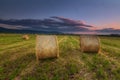 Harvest time, bundles in the field in Alava Royalty Free Stock Photo