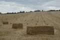 Harvest time with golden haybales, heystack on field Royalty Free Stock Photo