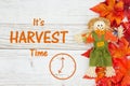 Harvest time message with red and orange fall leaves with a scarecrow