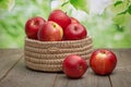 Harvest time, red ripe apples in a wicker basket on a wooden table, natural eco fruits Royalty Free Stock Photo