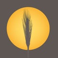 Harvest Time Symbol