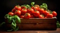 Harvest tomatoes in wooden box with green leaves and flowers. Vegetable still-life Isolated on black background