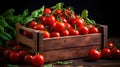 Harvest tomatoes in wooden box with green leaves and flowers. Vegetable still-life Isolated on black background