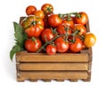 Harvest tomatoes in wooden box with green leaves. Vegetable