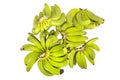 Unriped Banana Bunches Isolated Royalty Free Stock Photo