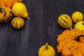 Harvest of various ripe pumpkins