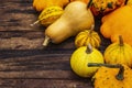 Harvest of various ripe pumpkins