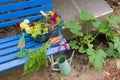 Harvest from the vegetable garden Royalty Free Stock Photo