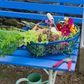 Harvest from the vegetable garden Royalty Free Stock Photo