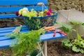 Harvest from the vegetable garden Royalty Free Stock Photo