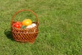 Harvest vegetables in a basket on green grass background with empty space