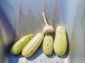 Harvest vegetables close-up in a garden cart.